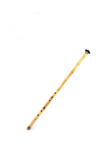 Profesyonel Kamış Kız Ney - Deri Kılıf Hediyeli