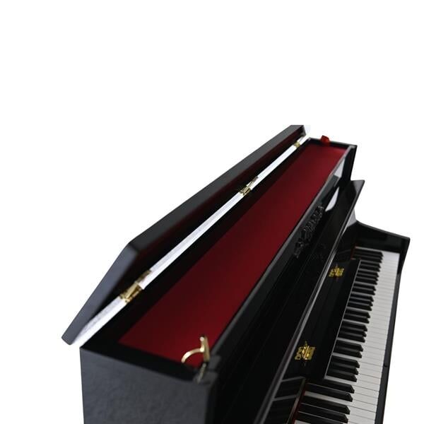 Arsenberg ADP1923BNG Siyah Dijital Piyano 2025 Versiyon