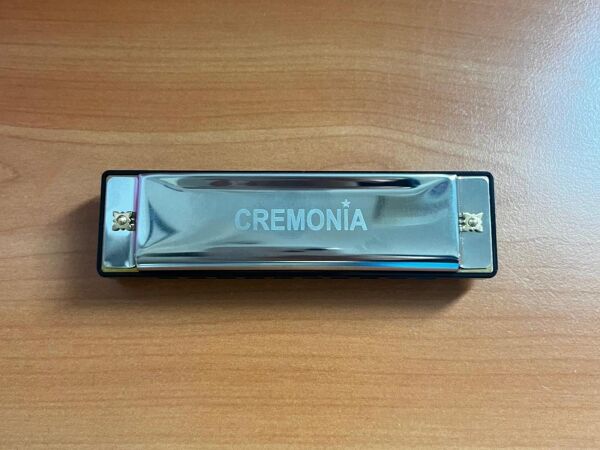 MIZIKA 10 DELİK, MODEL: PROFESSIONAL HARMONICA