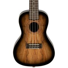 Laniikai Limited Edition SMBB-CX Spalted Maple Concert Ukulele
