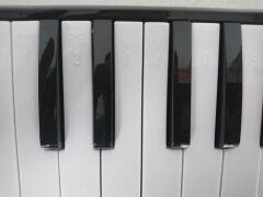 MELODİKA 32 TUŞLU PEMBE RENK EVA ÇANTALI