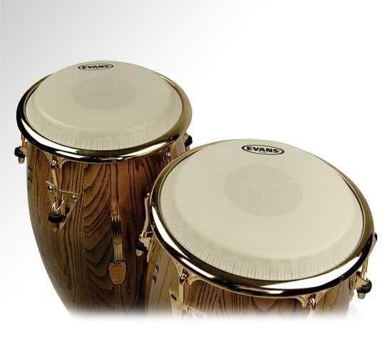 EVANS EC1100E 11'' DERİ TRİ-CENTER KONGA EXTENDED