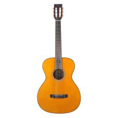 VALENCIA VA434NA  KLASİK GİTAR, 4/4