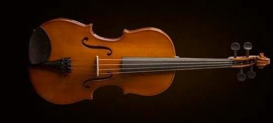 VALENCIA VA16040 VİYOLA KUTULU 15,5'' (40cm)