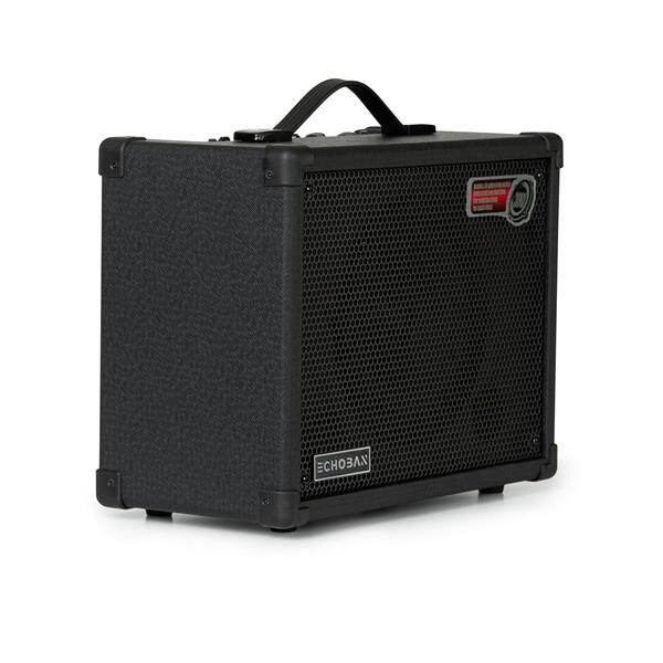 Echoban DC30 30 Watt Amfi