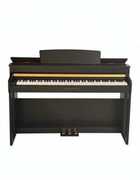 Arsenberg ADP1968B Siyah Dijital Piyano