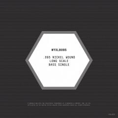 DADDARIO NYXLB095 BASS TEK TEL, NYXL SERİSİ, NİKEL SARIM, 0.095