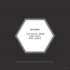 DADDARIO NYXLB040 BASS TEK TEL, NYXL SERİSİ, NİKEL SARIM, 0.040