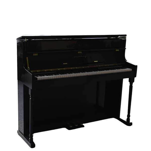 Arsenberg ADP1923BNG Siyah Dijital Piyano 2025 Versiyon