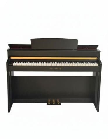 Arsenberg ADP1968B Siyah Dijital Piyano