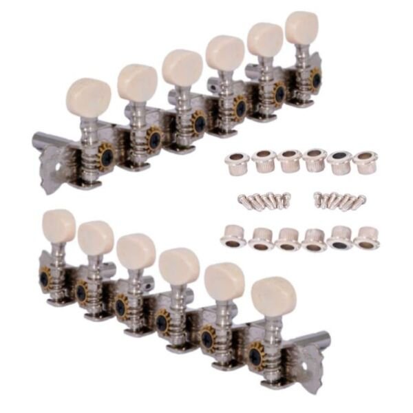 Burgu 12'Lİ (CTS12)