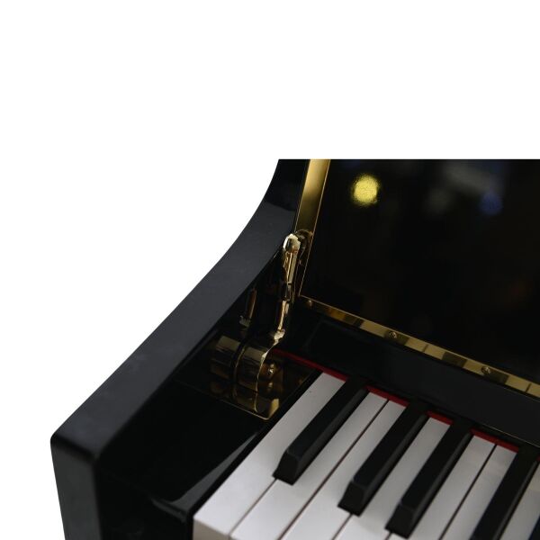 Arsenberg ADP1923BNG Siyah Dijital Piyano 2025 Versiyon