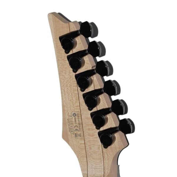 IBANEZ RGA220Z-CYB ELEKTRO GİTAR KUTULU-JAPON