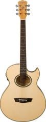 Washburn EA20 Elektro Akustik Gitar