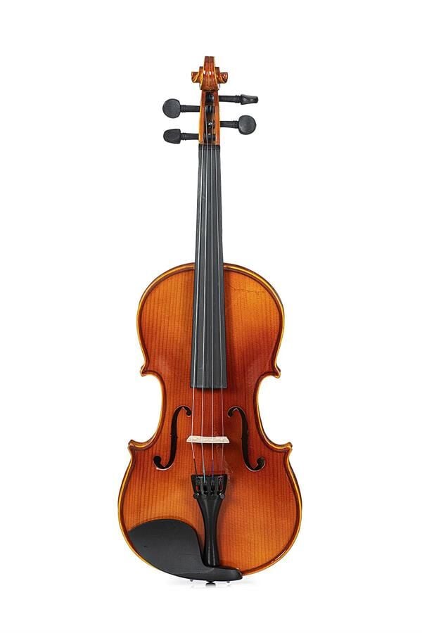 Bardsen BV30044 4/4 Keman