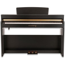 Arsenberg ADP1968B Siyah Dijital Piyano