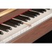Arsenberg ADP1968R Rosewood Dijital Piyano