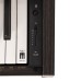 Arsenberg Speyer ASDP30-01RS Dijital Piyano