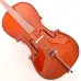 Çello (Viyolonsel) Dominguez 3/4 Gül Aksamlı Parlak DCR34CRP1
