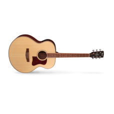 ELEKTRO AKUSTİK GİTAR KILIFLI JUMBO CUTAWAY