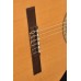 ELEKTRO KLASİK GİTAR FISHMAN CLASSIC III