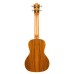 Lanikai SPST-C Spruce Concert Ukulele