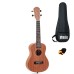 Miguel Artegas MU23C Concert Ukulele