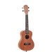 Miguel Artegas MU23C Concert Ukulele