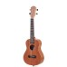 Miguel Artegas MU23C Concert Ukulele