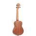 Miguel Artegas MU23C Concert Ukulele