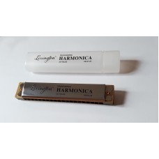 MIZIKA 20 DELİK  PROFESSIONAL HARMONICA