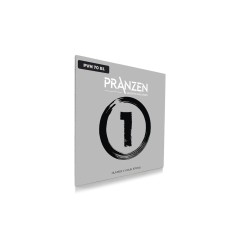 Pranzen PVN70B1 Keman Mi Teli
