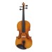 Ravenni RVA165 4/4 Viola