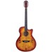 Washburn Deep Forest Burl Ace Amber Fade Elektro Akustik Gitar