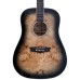 Washburn Deep Forest Burl Black Fade Akustik Gitar