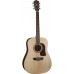Washburn HD10S  Heritage 10 Serisi Akustik Gitar