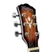 Washburn WSHAGPAKQTTB Exclusive Akustik Gitar Paketi