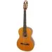 Epiphone Pro-1 Klasik Gitar