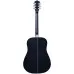 Washburn Deep Forest Burl Black Fade Akustik Gitar